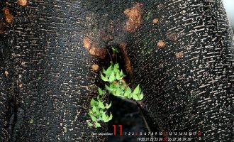 2018年3月2日吴忠市市直机关遴选公务员笔试真题及答案解析_国考公务员可参加地方遴选吗