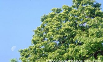 2017年4月8日临沂市纪委遴选公务员笔试真题及答案解析_应急管理部 公务员 遴选 体检