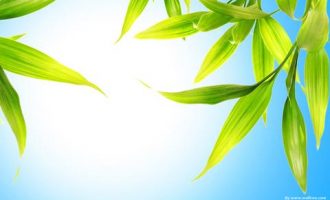 2017年11月11日淄博市直机关遴选公务员笔试真题及答案解析_合肥公务员遴选政审