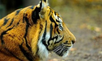 1203我是个怪圈_上海新录用公务员培训心得