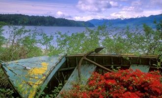 2017年6月24日长沙市直机关遴选公务员笔试真题及答案解析_公务员遴选 考试考什么