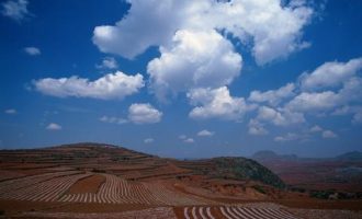 2019年12月7日济宁市直机关遴选和选调公务员笔试真题及答案解析_2012江苏省公务员遴选真题及答案