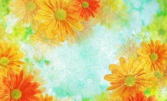 2017年9月23日哈尔滨市直机关遴选笔试真题及答案解析_德州遴选公务员成绩查询