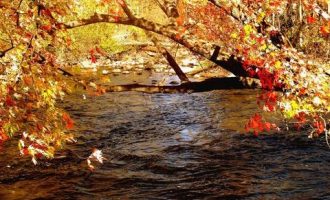 2017年11月11日天津市委组织部遴选公务员笔试真题及答案解析_昆明市2017年公务员遴选公告