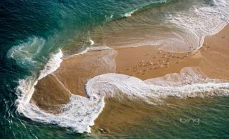 2017年6月3日临沂市直机关遴选工作人员笔试真题及答案解析（文字类）_北京 公务员 遴选 2017