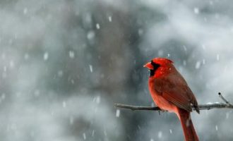 1210生命的法则_公务员培训学时要求处级广西