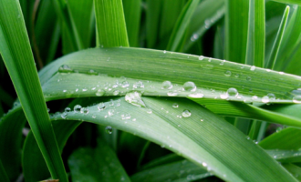 1028管理的实践_公务员管理工作业务培训会上讲话