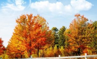 0824亿万_2018公务员党校培训班总结