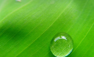 0621君主论_云南法检公务员培训法之桥