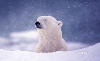 0901我辈孤雏_可靠的公务员考试培训