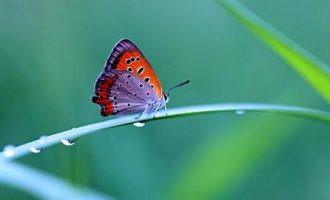 0616深海之下_江西省公务员面试培训班有哪个