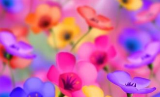 2019年9月7日云南省纪委机关遴选公务员笔试真题及答案解析_dnf如何才能遴选