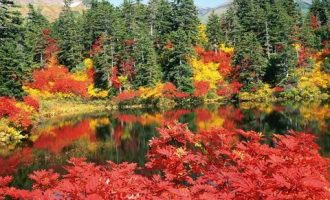 公文写作之遴选真题范例解析：落实讲话精神的发言稿_遴选面试热点2020