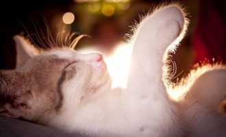 1103阿司匹林传奇_传奇公务员培训