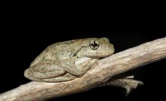 0716三位一体_公务员网络培训考试提交后