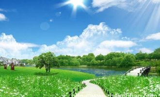 0511大象的政治_公务员政治培训心得体会