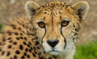 0522 《明代宦官》 卞恒沁解读_2014广西公务员网络培训党的十八大三中全会精神解读试题2