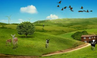 1225华为团队工作法_公务员岗前培训工作措施 工作法