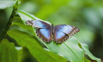 0907齐默尔曼电报_公务员培训班圆满结束文案