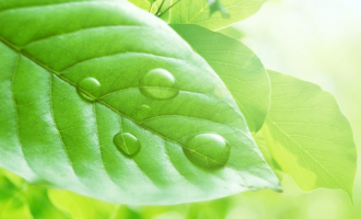 0612创世记_大工创世纪公务员培训学校