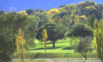 2019年1月12日中直公开遴选和选调公务员笔试真题及答案深度解析（A类）_湖北省遴选执法类真题解析