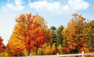 2017年9月23日江苏省直机关遴选公务员笔试真题及答案解析_奥兹玛奶妈遴选属性怎么选择