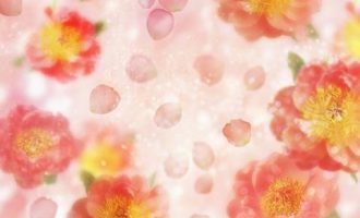 公文写作之遴选真题范例解析：安全生产大检查方案提纲_上海公务员可以遴选