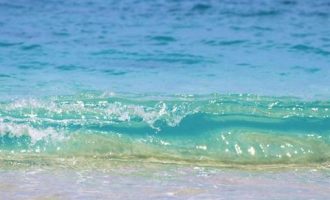 2019年5月19日浙江省级机关遴选公务员笔试真题及答案解析_重庆市遴选要求全日制吗