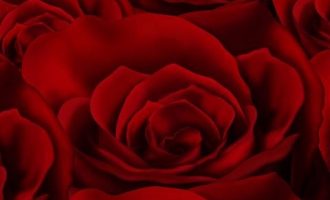 2019年8月10日重庆市涪陵区遴选公务员笔试真题及答案解析_济宁市市直遴选有任现职期限吗