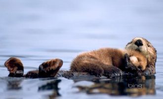 2018年3月10日深圳市龙岗区公务员遴选笔试真题及答案解析_市级纪委遴选笔试考什么