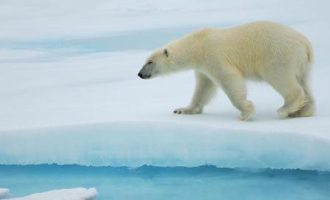 0506 《心智》 李南南解读_消防法解读公务员培训答案