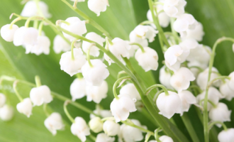 1018太原功臣与唐初政治_太原华图公务员培训班