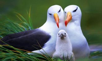 0823两姐妹_安大公务员考试辅导培训中心