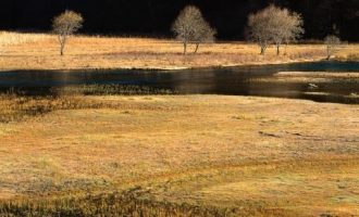 2017年11月25日天津市直机关遴选公务员笔试真题及答案解析_保靖法院遴选综合成绩