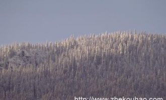 2017年9月23日辽宁省检察院遴选公务员笔试真题及答案解析(1)_刃影史诗无法遴选