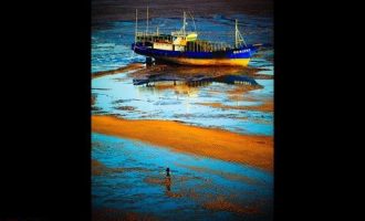 2018年6月24日山东省省纪委遴选公务员笔试真题及答案解析（业务岗）_博新计划遴选标准