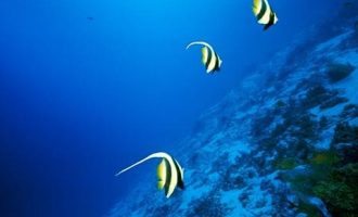 2019年8月25日曲靖市宣威市政府办公室遴选公务员笔试真题及答案解析_2019年遴选人才