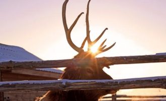 1122医事_云南边检公务员培训在哪儿