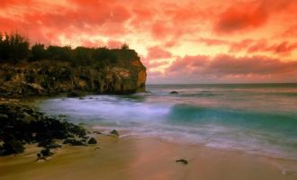 0207认识自己，接纳自己_公务员党校培训自己总结