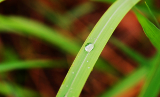 0728红楼梦与中国旧家庭_中国公务员培训制度的研究报告