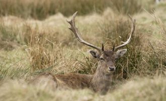1011西贝的服务员为什么总爱笑_公务员为什么先到党校培训三个月