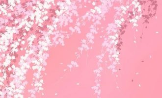 2020年德州市遴选热点：“一星四化”推进共建共治共享_2020中央遴选