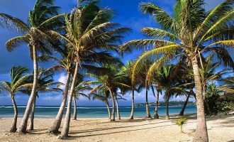 公文写作之遴选真题范例解析：承办通知_来安遴选