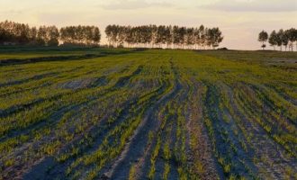 2017年2月25日长沙市委政策研究室遴选公务员笔试真题及答案解析_涡阳2021年教师遴选选岗