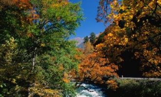 2019年5月11日平凉市崆峒区委办遴选笔试真题及答案解析_青岛遴选综合类历年真题