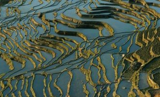 2020年7月11日陕西省渭南市直遴选面试真题及解析_甘肃遴选面试技巧