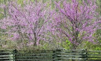 2020年南通市遴选热点：重大项目建设等不起也慢不得_淮滨县今年有遴选吗