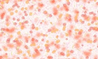 2019年2月24日浙江省纪委选调公务员笔试真题及答案解析（文字综合岗）_公务员遴选笔试真题及答案