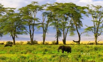 2020年8月15云南省文山州纪委面试真题及解析_铜陵2020会有遴选吗