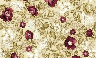 2020年甘孜州遴选热点：扎实推动“枫桥经验”在甘孜藏区落地_2020中央遴选